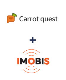 Интеграция Carrot quest и Imobis