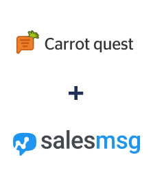 Интеграция Carrot quest и Salesmsg Интеграция Carrot quest и Salesmsg