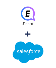 Интеграция E-chat и Salesforce CRM