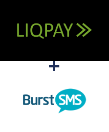 Интеграция LiqPay и Burst SMS