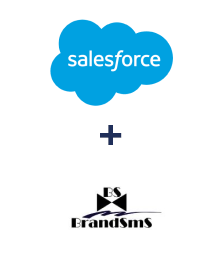 Интеграция Salesforce CRM и BrandSMS 