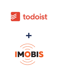 Интеграция Todoist и Imobis