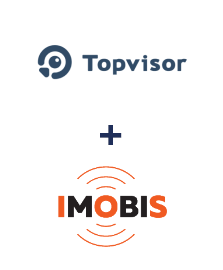 Интеграция TopVisor и Imobis