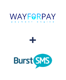 Интеграция WayForPay и Kudosity