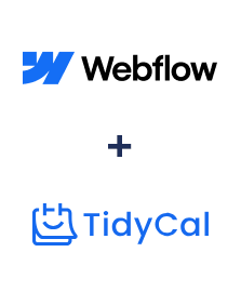 Интеграция Webflow и TidyCal