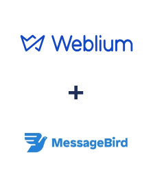 Интеграция Weblium и MessageBird