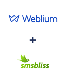 Интеграция Weblium и SmsBliss Интеграция Weblium и SmsBliss