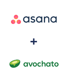 Asana ve Avochato entegrasyonu