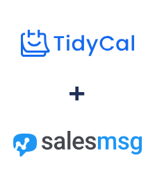 TidyCal ve Salesmsg entegrasyonu
