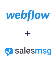 Webflow ve Salesmsg entegrasyonu