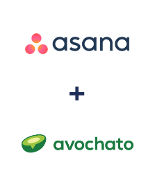 Інтеграція Asana та Avochato