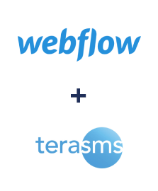 Інтеграція Webflow та TeraSMS