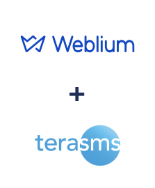 Інтеграція Weblium та TeraSMS Інтеграція Weblium та TeraSMS